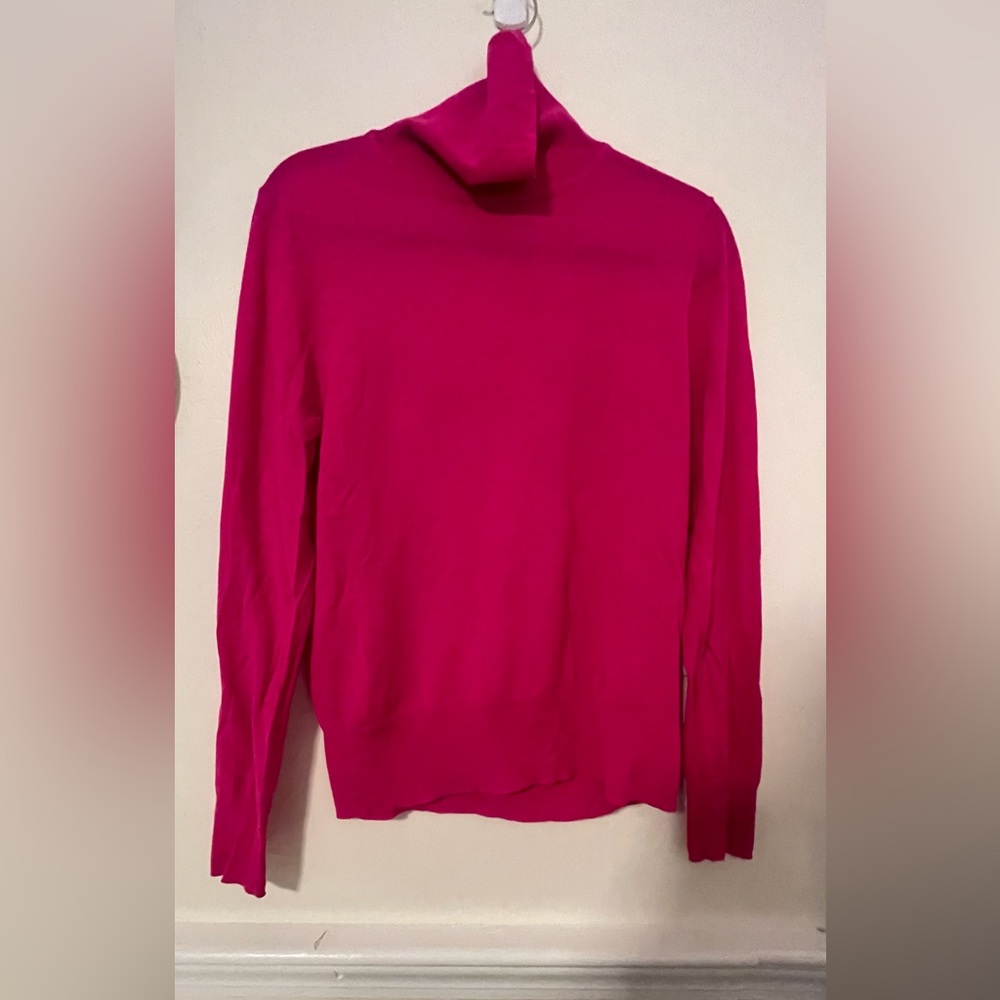 JCREW Marino Wool Turtleneck